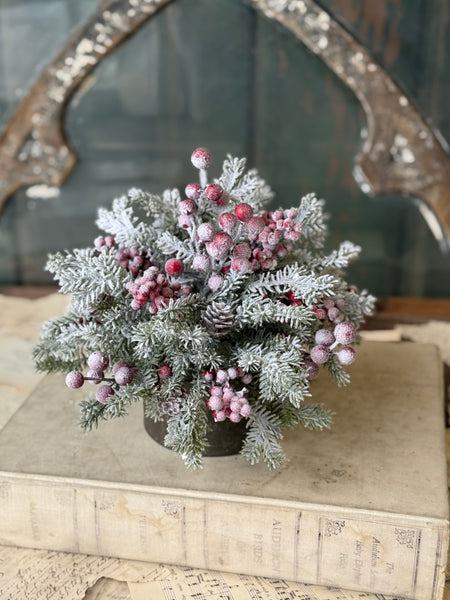 Snowspell Fir Half Sphere | 11" | NOT CURRENTLY IN STOCK-New For Holiday 2026!
