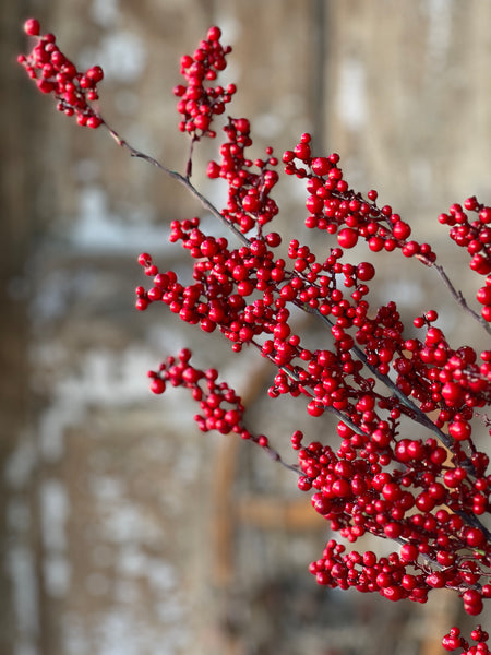 Winter Berry Spray | 35" | SOLD OUT
