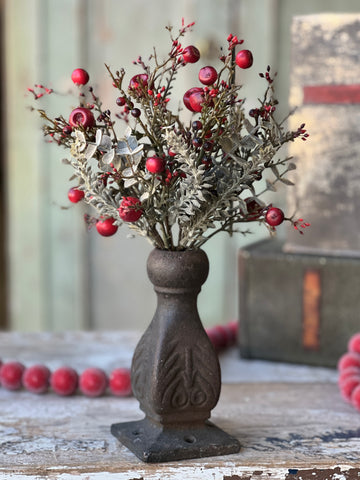 Cashel Berry Eucalyptus Bush | 11.5" | SOLD OUT