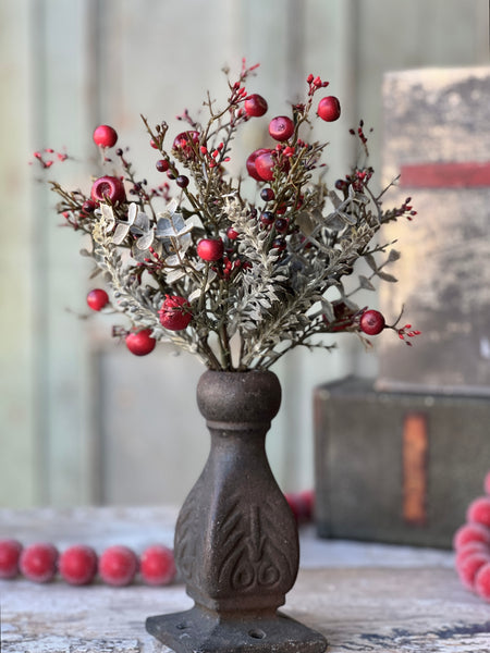 Cashel Berry Eucalyptus Bush | 11.5" | SOLD OUT