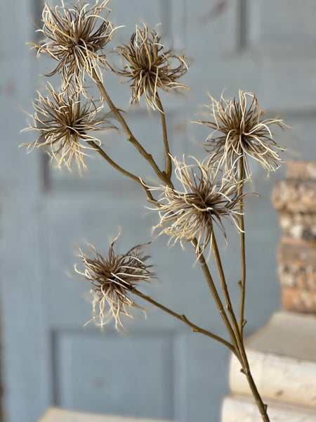 Frizzle Spray | 32" | Greige