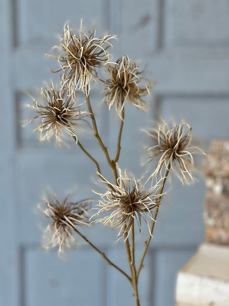 Frizzle Spray | 32" | Greige