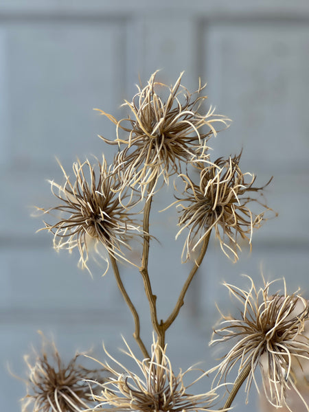 Frizzle Spray | 32" | Greige