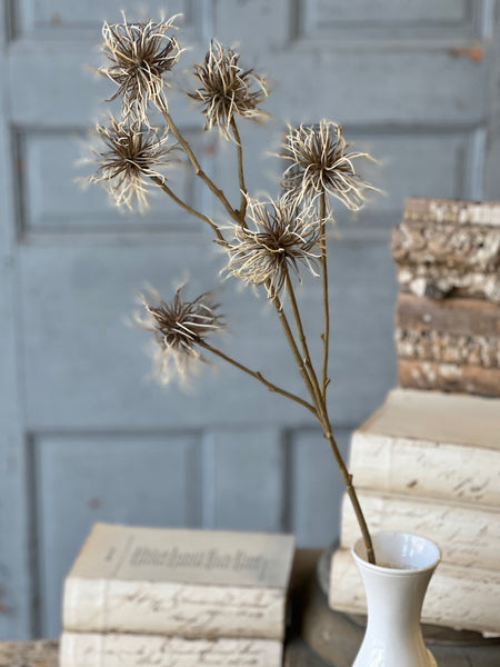 Frizzle Spray | 32" | Greige