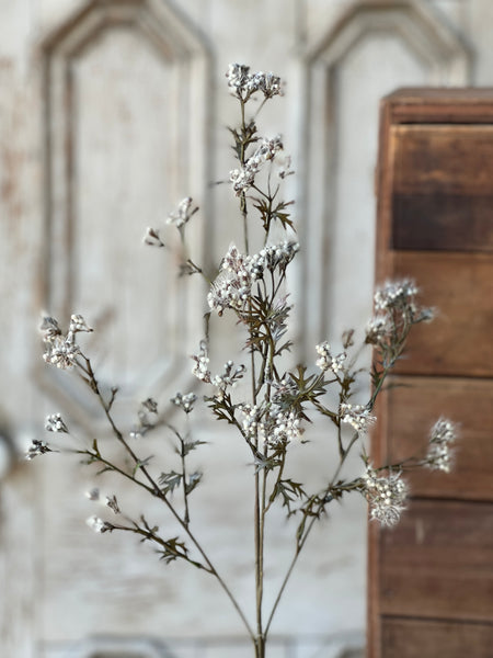 Boucle Berry Spray | 28" | Cream