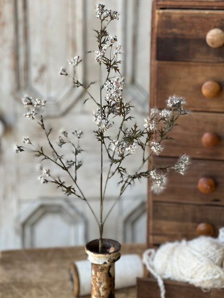 Boucle Berry Spray | 28" | Cream