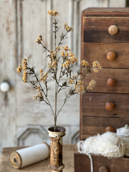 Boucle Berry Spray | 28" | Cider