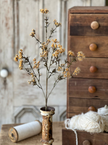 Boucle Berry Spray | 28" | Cider