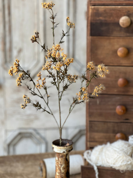 Boucle Berry Spray | 28" | Cider