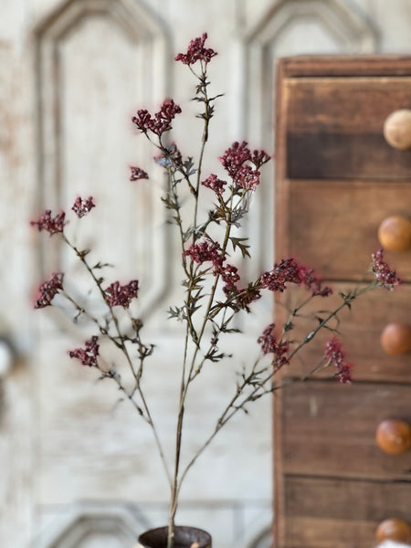 Boucle Berry Spray | 28" | Merlot