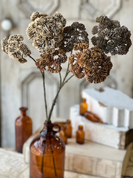 Sedum Seedhead | 27" | Fog