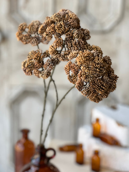 Sedum Seedhead | 27" | Umber | CLEAN UP SPECIAL!  From $2.40 - Last 120pcs!