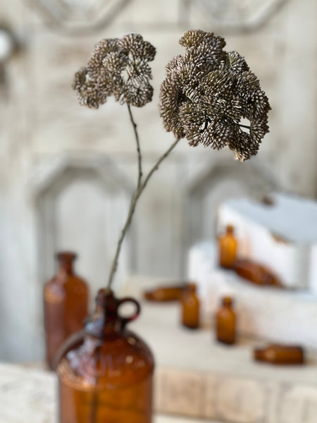 Sedum Seedhead | 27" | Fog
