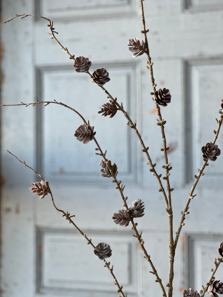 Pinyon Pine Cone Spray | 48"