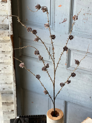 Pinyon Pine Cone Spray | 48"