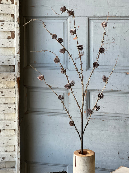 Pinyon Pine Cone Spray | 48"