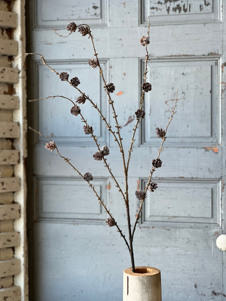 Pinyon Pine Cone Spray | 48"