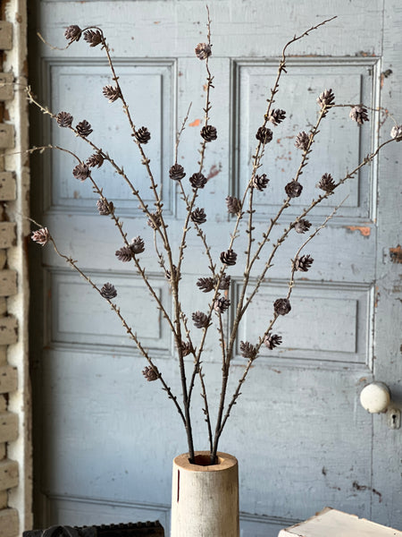 Pinyon Pine Cone Spray | 48"