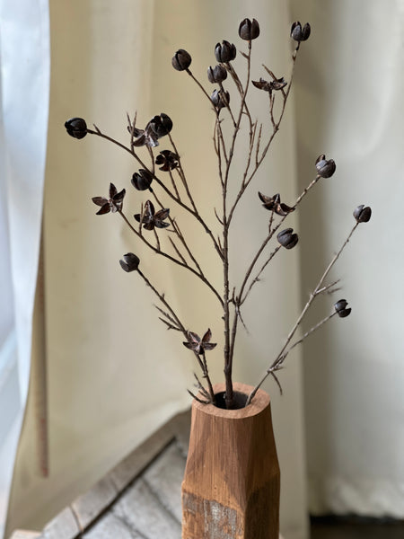 Tamarind Buds Spray | 38" | CLEAN UP SPECIAL!  $3.95 - Last 84pcs!