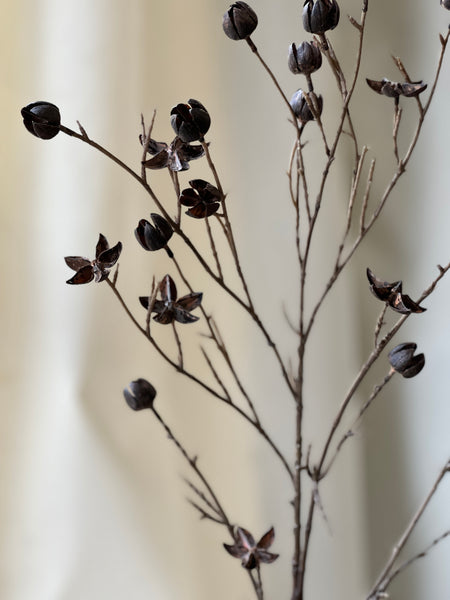 Tamarind Buds Spray | 38" | CLEAN UP SPECIAL!  $3.95 - Last 84pcs!