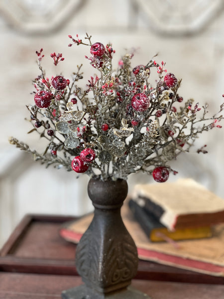 Icy Cashel Berry Bush | 11.5" | SOLD OUT