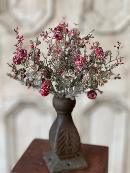 Icy Cashel Berry Bush | 11.5" | SOLD OUT