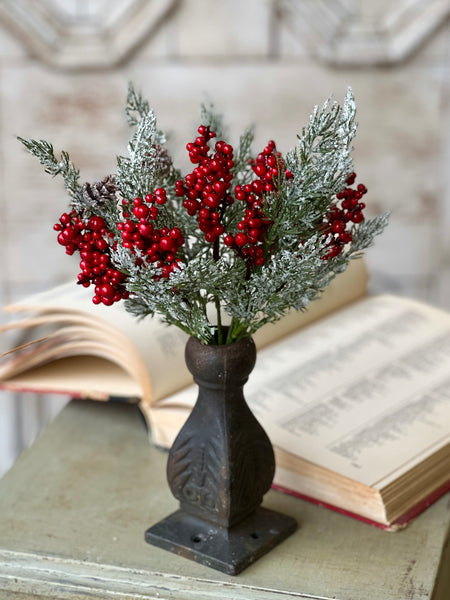 Winterberry Charm Bush | 12" | SOLD OUT