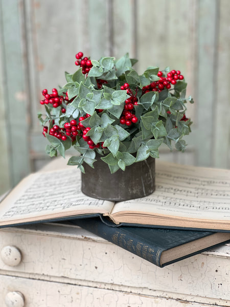 Yuletide Eucalyptus Half Sphere | 10" | SOLD OUT