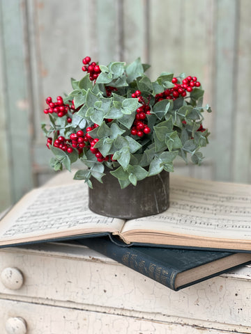 Yuletide Eucalyptus Half Sphere | 10" | Lost & Found!  Limited Stock - Last 6pcs!