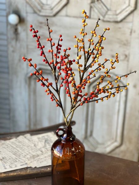 Clipper Berry Spray | 26" | Orange | SOLD OUT