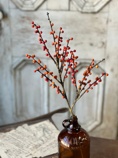 Clipper Berry Spray | 26" | Orange | SOLD OUT