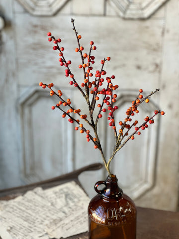 Clipper Berry Spray | 26" | Orange | SOLD OUT