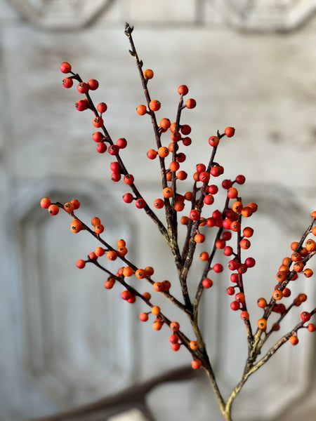 Clipper Berry Spray | 26" | Orange | SOLD OUT