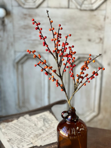 Clipper Berry Spray | 26" | Orange | SOLD OUT