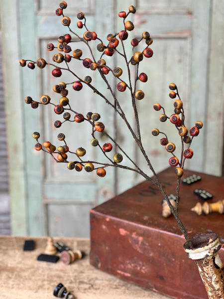 Riddle Berry Spray | 36" | SOLD OUT