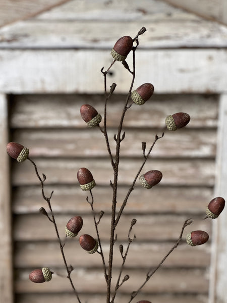 Oakview Acorn Spray | 41" | SOLD OUT