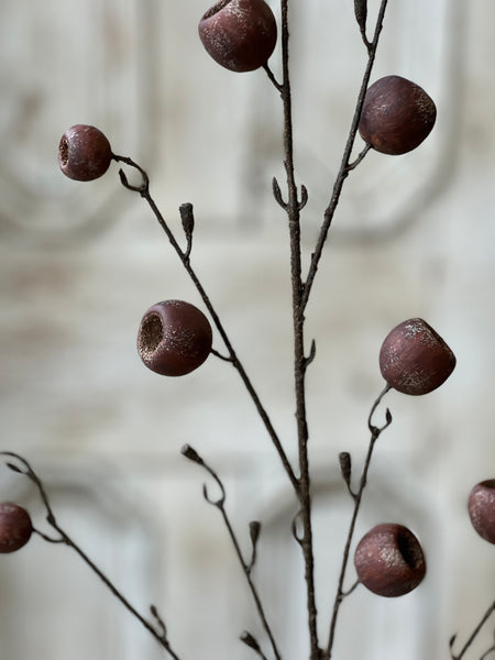 Breton Pod Spray | 41" | SOLD OUT