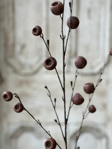 Breton Pod Spray | 41" | SOLD OUT