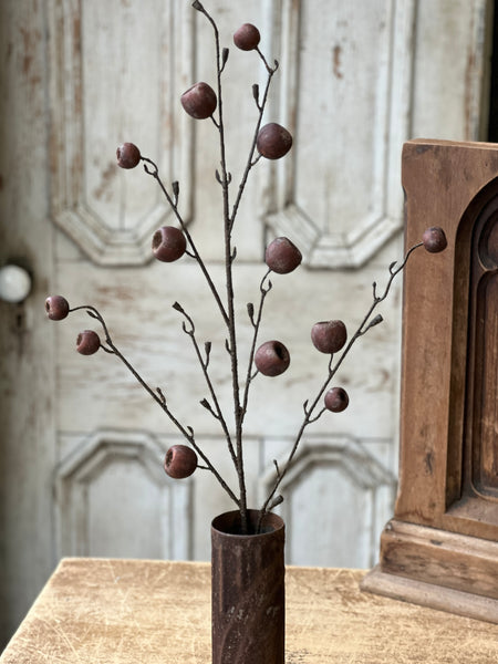 Breton Pod Spray | 41" | SOLD OUT