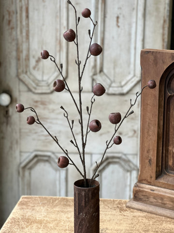 Breton Pod Spray | 41" | SOLD OUT