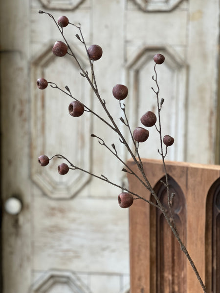 Breton Pod Spray | 41" | SOLD OUT