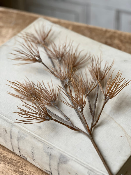 Tussock Grass Spray | 19" | Fawn | CLEAN UP SPECIAL From $1.50 - Last 96pcs!