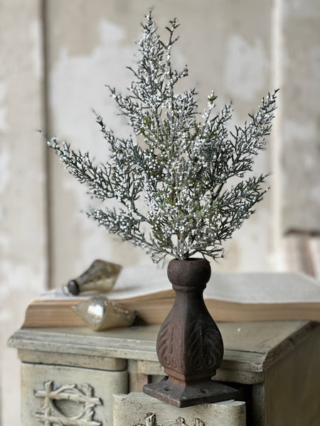 Constellation Juniper Pick | 16" | CLEAN UP SPECIAL!  From $1.45 - Last 192pcs!