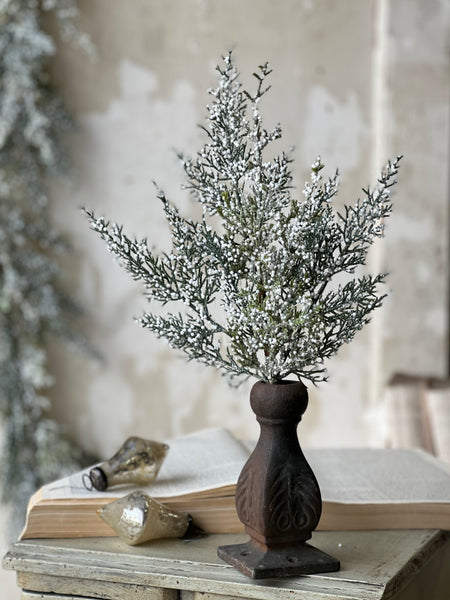 Constellation Juniper Pick | 16" | CLEAN UP SPECIAL!  From $1.45 - Last 192pcs!