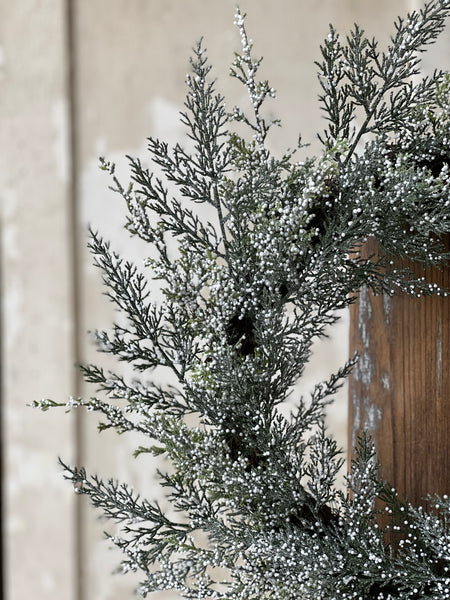Constellation Juniper Wreath | 24" | SOLD OUT
