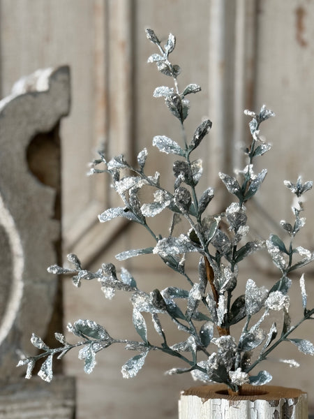 Snowy Brookwood Pick | 16.5" | NOT CURRENTLY IN STOCK-New For Holiday 2026!