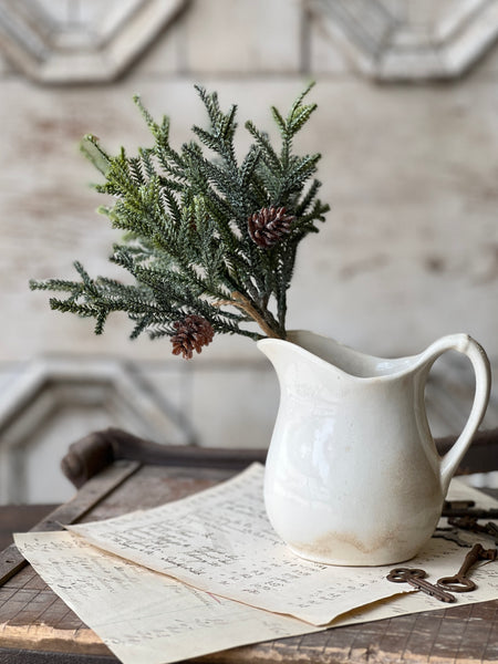 Wind Chill Juniper Bundle | 11.5" | CASE PACK + CLEAN UP SPECIAL!  From $1.50 - Last 156pcs!