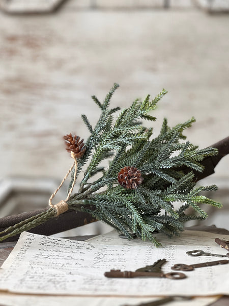 Wind Chill Juniper Bundle | 11.5" | CASE PACK + CLEAN UP SPECIAL!  From $1.50 - Last 156pcs!