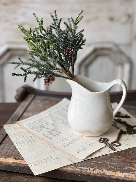 Wind Chill Juniper Bundle | 11.5" | CASE PACK + CLEAN UP SPECIAL!  From $1.50 - Last 156pcs!