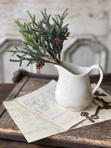 Wind Chill Juniper Bundle | 11.5" | CASE PACK + CLEAN UP SPECIAL!  From $1.50 - Last 156pcs!